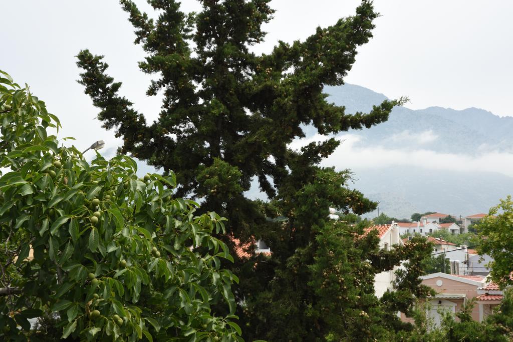 Anestis Chatzimihail Rooms Kamariotissa Bagian luar foto